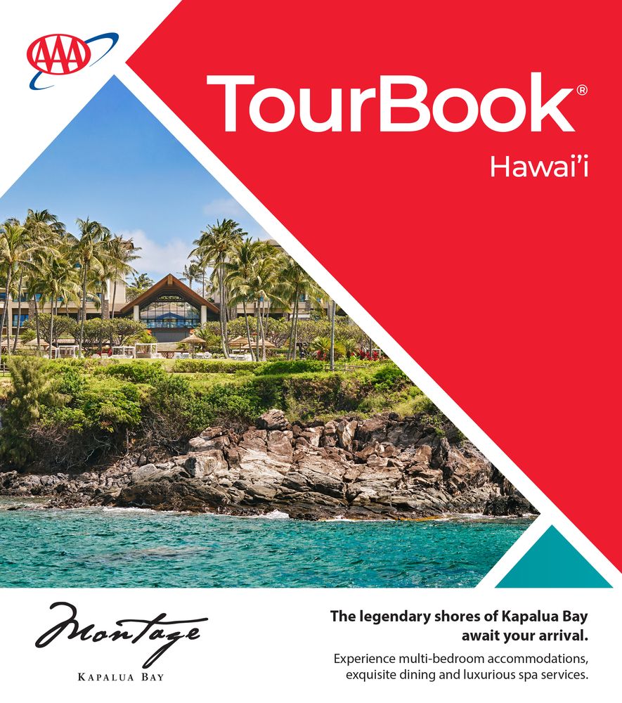 Travel Book Hawaii - Artists' edition - Travel RN0003